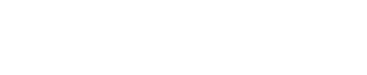 flashsale