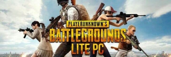 PUBG PC oder Mobile, welche Rasse bist du?