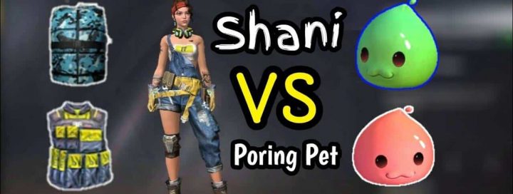 使用 Shani 和 Poring Combo，让您的背心和头盔变得坚固！