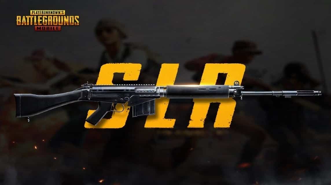 Mini-14 PUBG