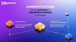 Happy! This is the Winners of the RansVerse ILO Whitelist Event