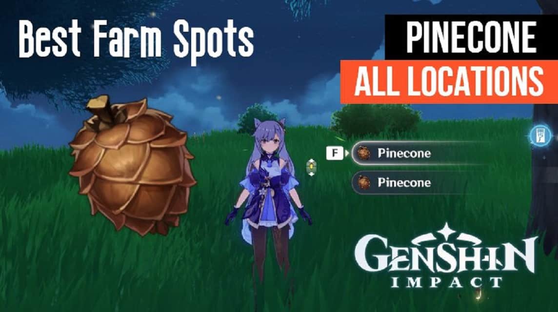 Pinecones Genshin Impact
