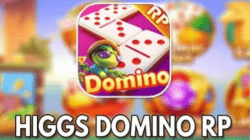 Higgs Domino Partner Tool Download Link Latest 2022