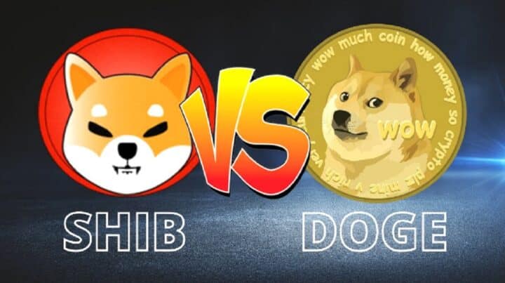 Perbandingan Antara Shiba Inu Vs Doge Coin