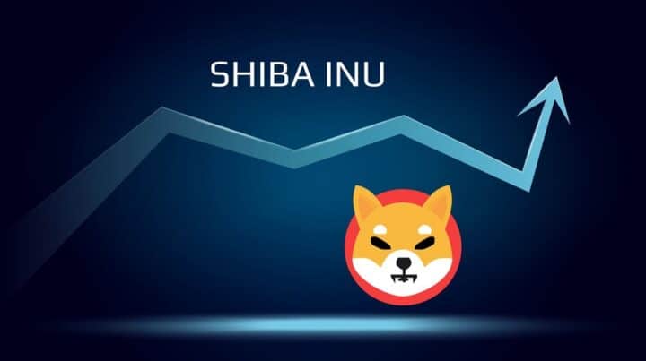 Penjelasan Mengenai Aksi Burn Shiba Inu