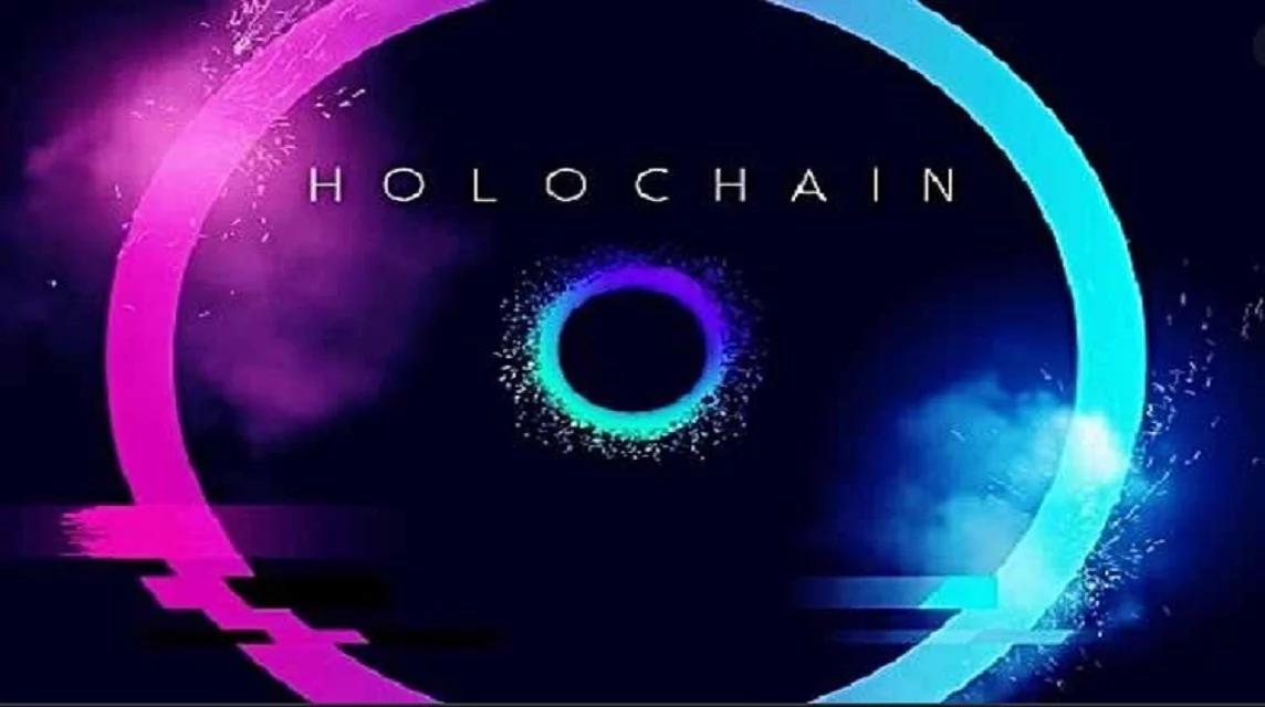what is a holochain