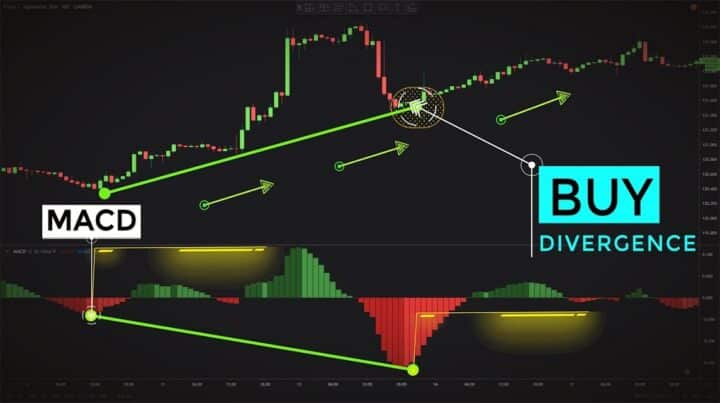 Understanding Bullish Divergence in the Crypto World