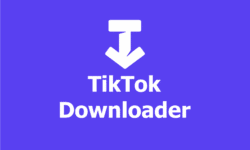 如何下载没有水印的 Tiktok 视频