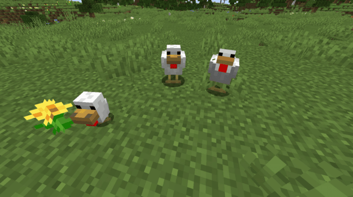 Penjelasan dan Cara Beternak Ayam di Minecraft, Wajib Hafal!