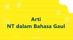 Arti NT Adalah dalam Bahasa Gaul di Sosmed