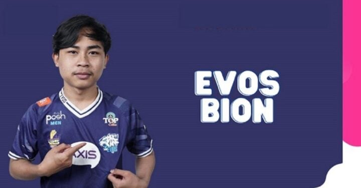 Vollständige Biodaten von Evos Bion, dem FF Pro Player!